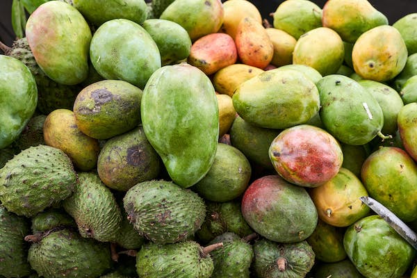 six useful small sized fruit trees to have at home