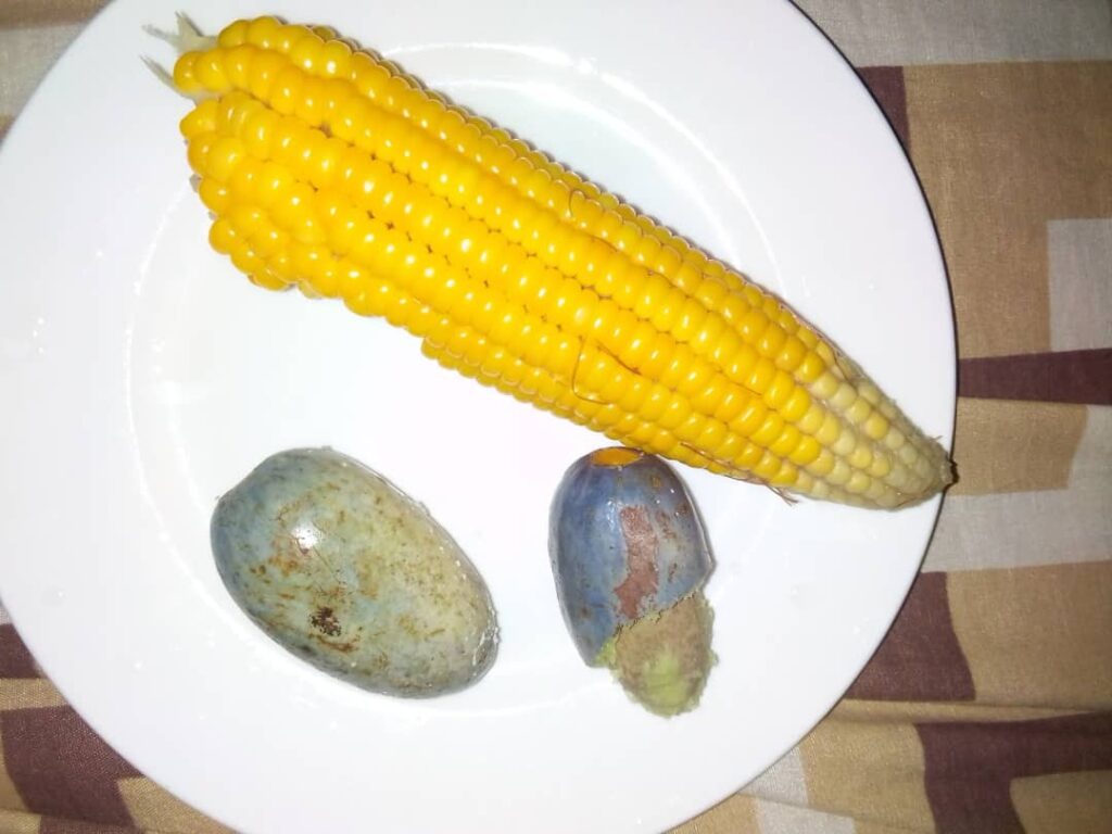 Healthy meal plans for the sickle cell patient